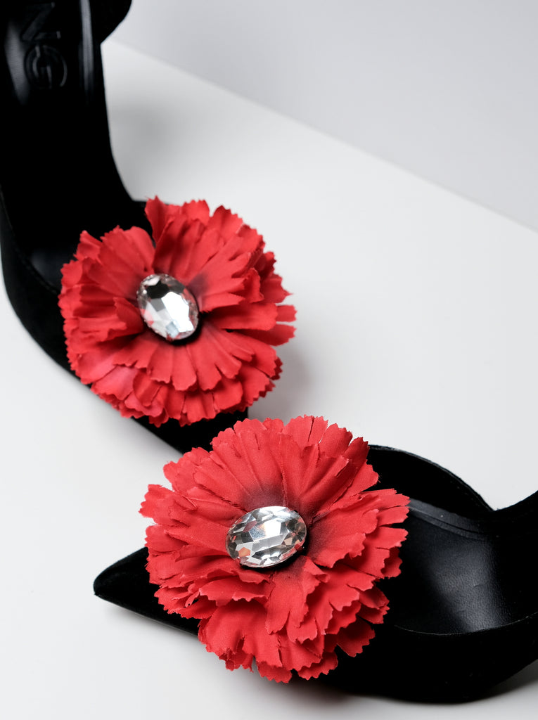 ACCESORII DE PANTOFI