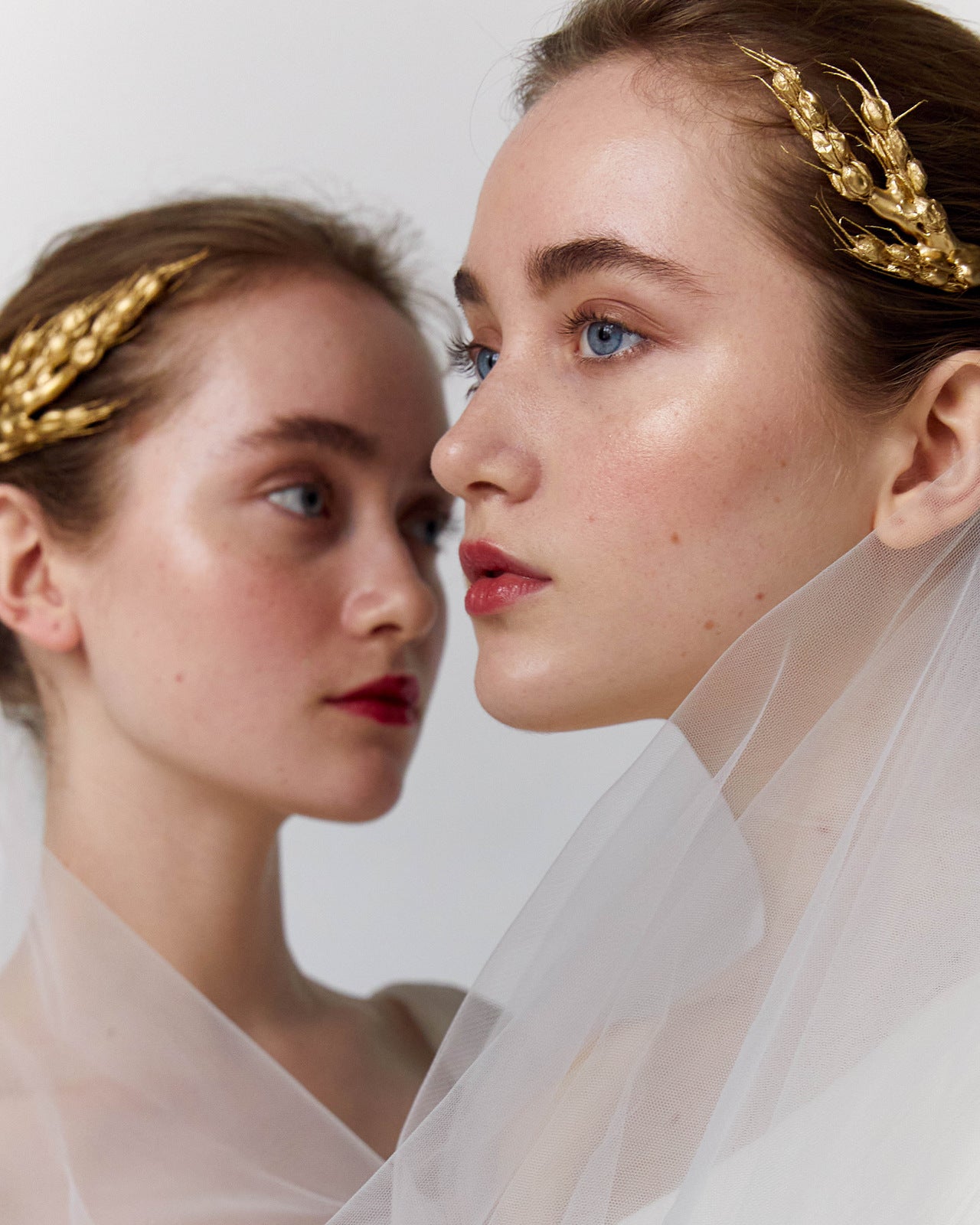 COROANA SPIC DE GRÂU STANDARD